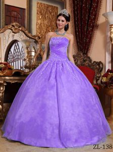 Hervey Bay QLD Strapless Appliques Sweet Sixteen Dresses in Purple