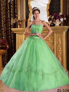 Green Strapless Appliques Quinceanera Dress to Floor-length in Gympie
