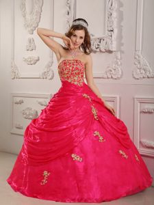 Pick Ups Embroidery Strapless Brush Train Ball Gown Dress for Wear