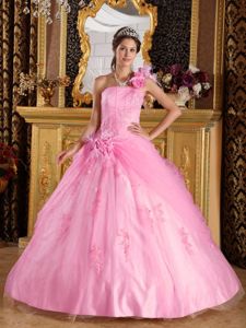 Pink One Shoulder Appliques Quinceanera Dress in Port Adelaide SA