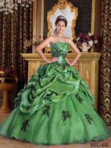 Green for Black Appliques Quinceanera Gown Dresses in Princess