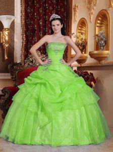 Green Strapless Quinceanera Dress with Beading Pick-ups in Alloa