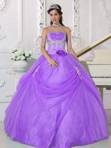 Orchid Strapless Drapped Appliques Quinceanera Dress in Selkirk