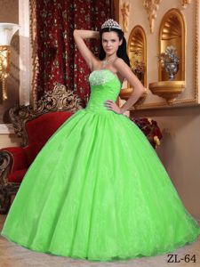 Organza Spring Green Appliques Sweet 16 Dresses in Spencers Wood