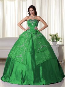 Strapless Green Organza Embroidery Dress for Quince in Killearn