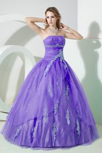 Embroidery Lavender Organza Quinceanera Dress Beaded in Peebles