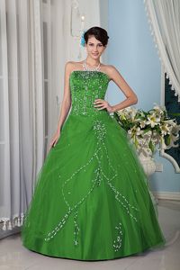Tulle Green A-line Sweet Sixteen Dress For Quinceanera for Cheap