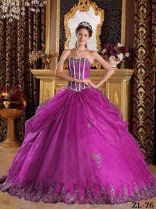 Fuchsia Organza Sweetheart Sweet Sixteen Dresses with Appliques