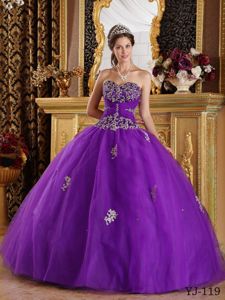 Eggplant Purple Tulle Appliques Sweet 16 Dress in Erbach Germany