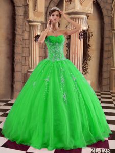 Green Beaded Organza Sweet Sixteen Quinceanera Dresses in Celle
