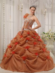 Rust Red Appliques One-shoulder Quinceanera Dress in Augustdorf