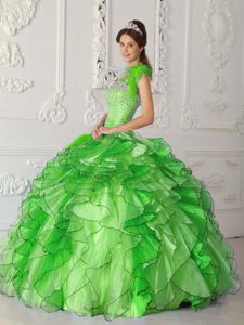 Green One Shoulder Beading and Appliques Sweet 15 Dresses in Ashville