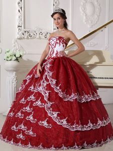 Appliques Sweet Sixteen Quinceanera Dresses in Akron with Lace Up Back