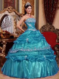 Appliques Accent for Teal Organza 2013 Sweet 15 Dresses in Childersburg