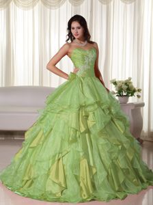 Yellow Green Sweetheart Organza Quinceanera Dress Appliques Accent