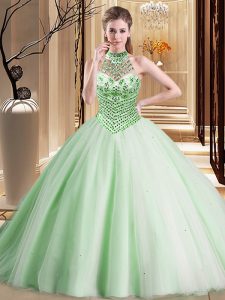 Smart Halter Top With Train Ball Gowns Sleeveless Apple Green 15 Quinceanera Dress Brush Train Lace Up
