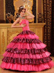 Beautiful Sweetheart Zebra Beaded Hot Pink Quince Dresses in Cottonwood