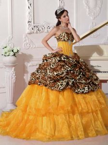 Orange Sweetheart Leopard Appliques Quinceanera Dresses with Brush